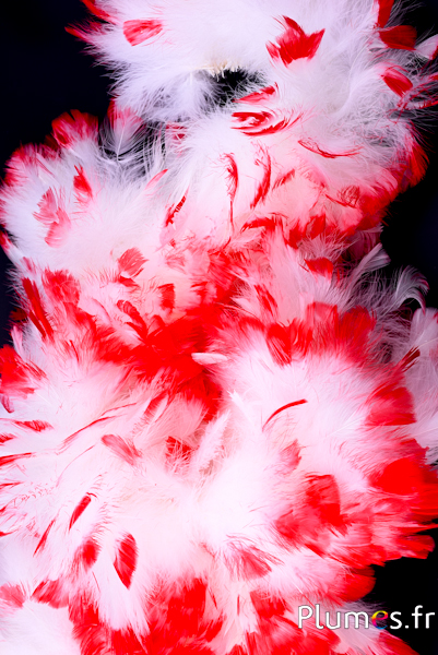 Frange dinde - long. plumes 10 cm - blanc pointe rouge